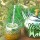 Yerba Mate – The miracle tonic beverage